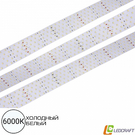 Светодиодная лента SMD 2835 / 350LED / 24V / 36W / IP20 / 6000K 5-ти рядная