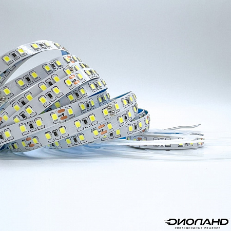 Светодиодная лента SMD 2835 / 120LED / 24V / 10W / IP20 / 6000K