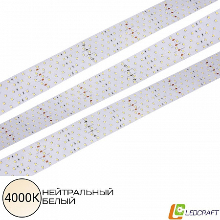 Светодиодная лента SMD 2835 / 350LED / 24V / 36W / IP20 / 4000K 5-ти рядная